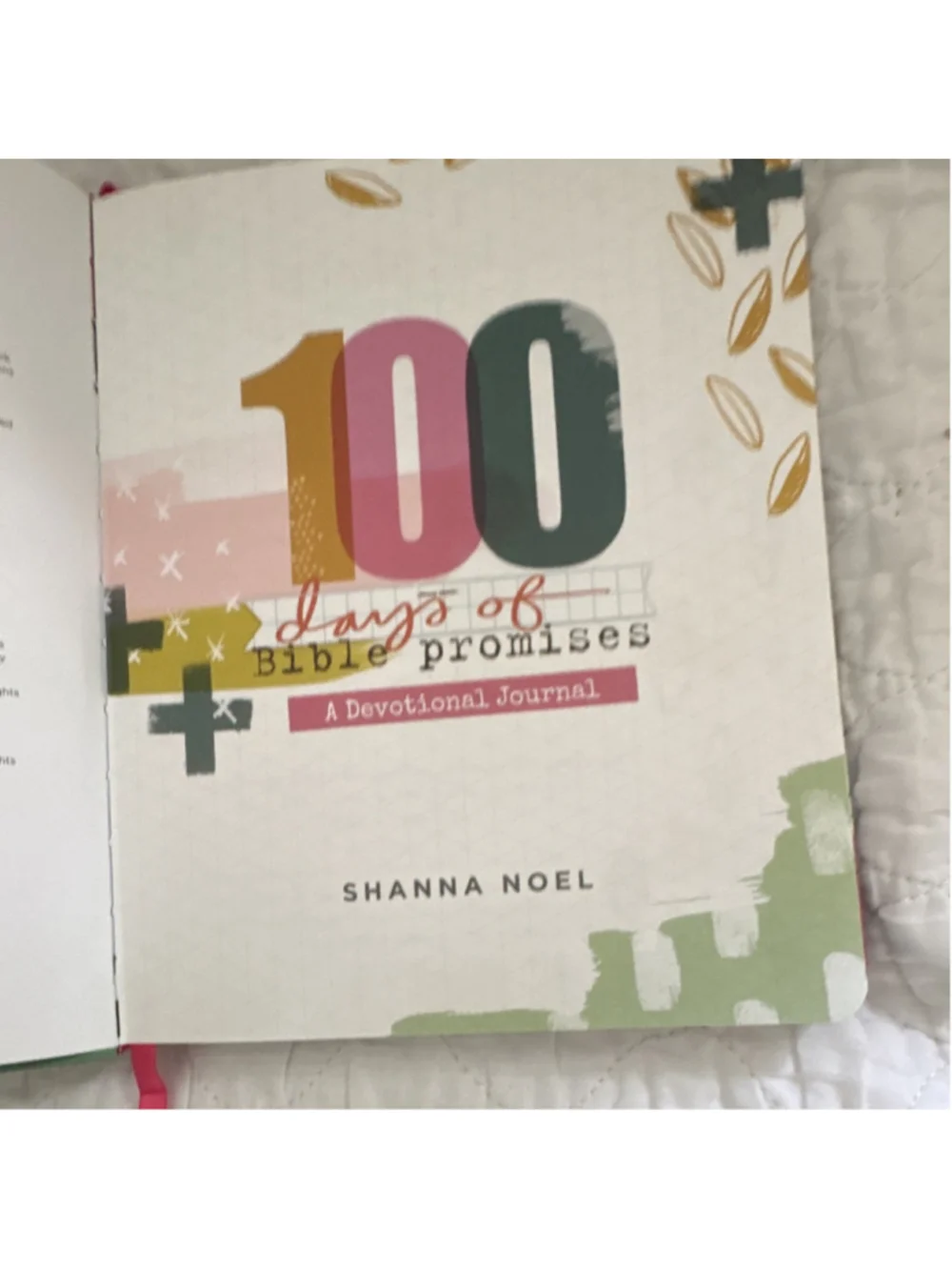 Shanna Noel 100 Days of Bible Promises Devotional Journal Paperback Illus 2018